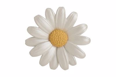Picture of Daisy Large Brooch 4.5cm diameter