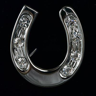 Picture of Horseshoe Brooch