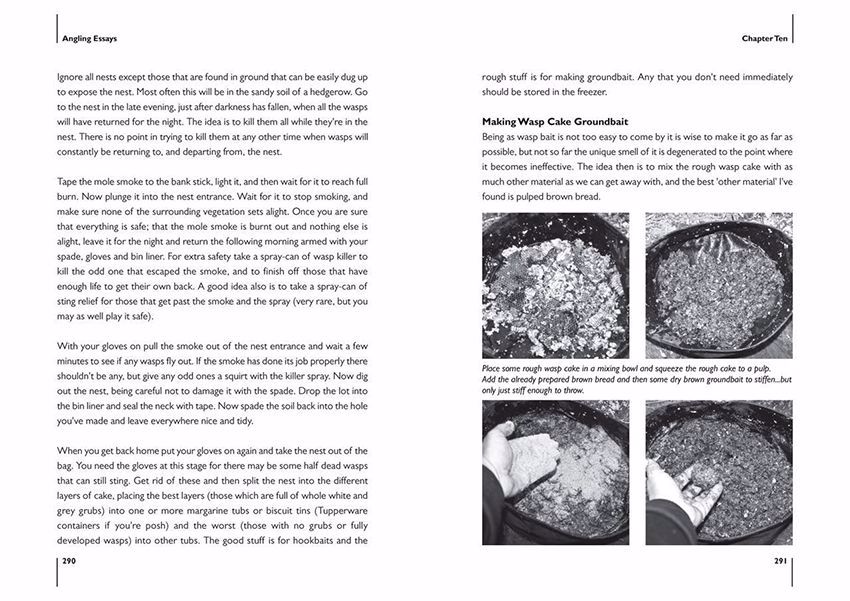 Essays on harry graham 08 picture